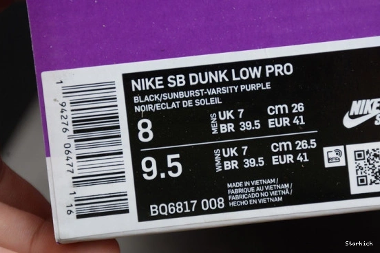 Nike Terra” Dunk “ACG BQ6817-008 SB Low 0828